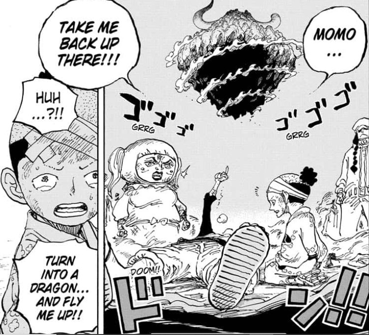 One Piece 1020, Luffy and Momonosuke